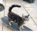 skidabop
