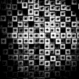 RARCAM