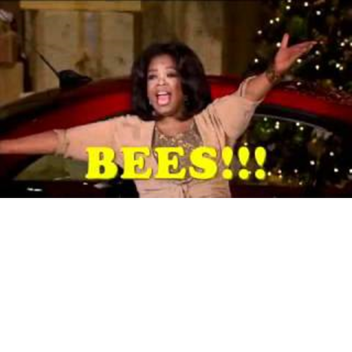 Be the Blueberry in Oprah's Oatmeal for FREE VIP