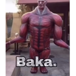 SAY YOU ARE MY BAKA