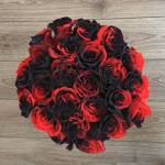 Galaxy roses club