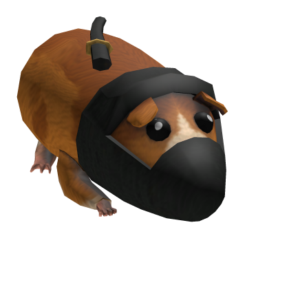 Ninja Guinea Pig
