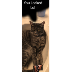 Nuclear cats!