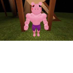 admin (free)