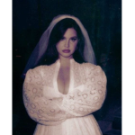 Lana Del Rey's closet