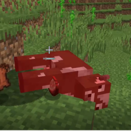 cow die