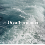 ~~Orca Encounter~~
