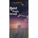 Best Pug's group