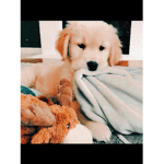 Bustertedsquad