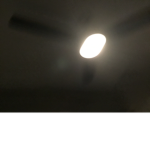 Egg Boy ###########