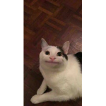 Siiuuu xD