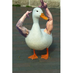 DUCKY DUBS!