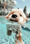 Real splash!