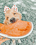 adopt me!!<3:)