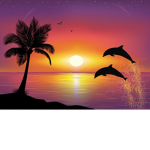 DolphinSquad