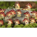Mushroom nature