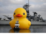 Royal Ducky Navy