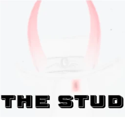 The Stud icon