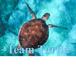 ~Team Turtle~ City