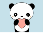 PandaBoom Sqaud!!