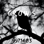 C R 0 W