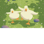 The Team Of Duckies