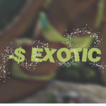 - $ EXOTIC