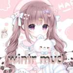 wintr mud