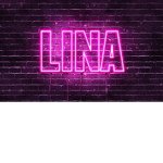 LINA'S GREAT FAMILY