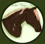 Field View Acres