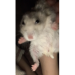 Nacho:)