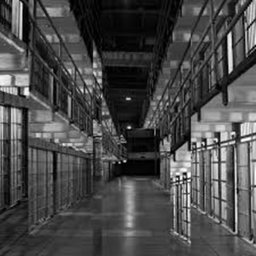 Prison Escape