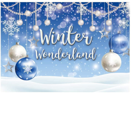 Winter OBBY