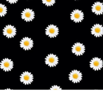 Daisy_fam