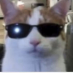 bbhdyt