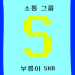 [부릉이]SKR