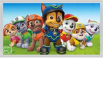 pawpatrol123