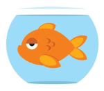 Mr. Fish's Gang