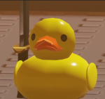Ducks' chill fan club B )