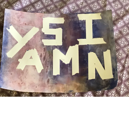 Yasmin’s Roblox Fan Hangout