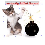 CURIOSITY KILLED THE CAT