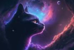 smug cats forever!!!