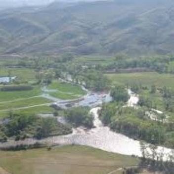 Rest's Donation Game