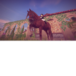 horse <3 ers army