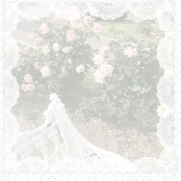 ݁ ⑅˚ . 𝒷𝓁ℴℴ𝔪ྀི𝒾𝓃𝑔 ♪‿୨ ྀ◟˚