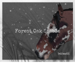 Forest Oak Stable