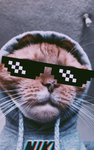 Meme clan :]