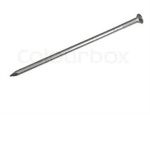A NAIL FANS