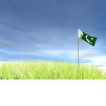 Pakistani Combat Group