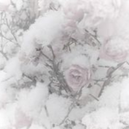 ʚ♡ɞ